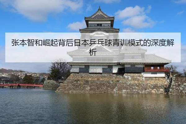 张本智和崛起背后日本乒乓球青训模式的深度解析